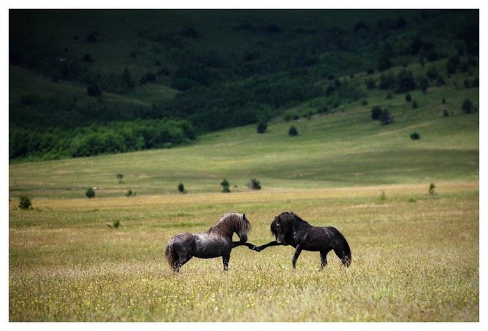 33799_485113461434_577466434_5674712_8206677_n - Frumuseti ale naturii