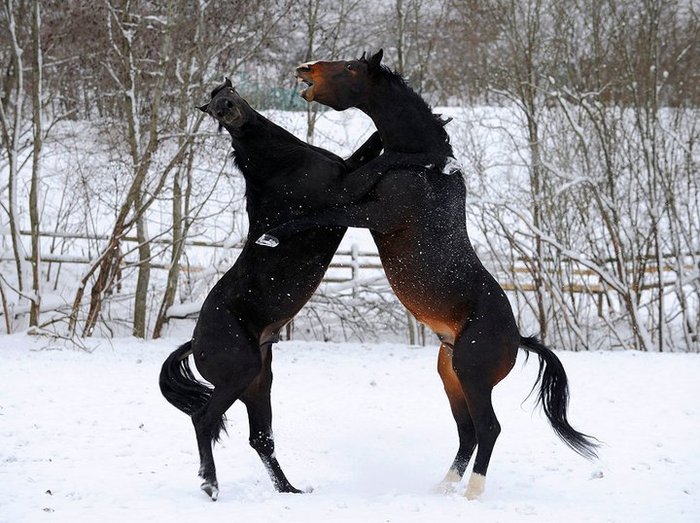 164544_485113321434_577466434_5674705_3263285_n