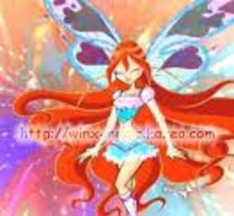 winxbelievinx