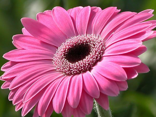 gerberA050614g-2-l[1]