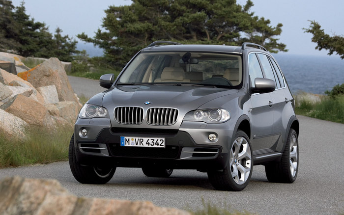 BMW_X5_557_1680x1050 - BMW Wallpapers