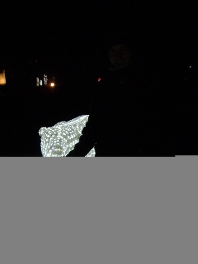 DSC00964; craciun  2010
