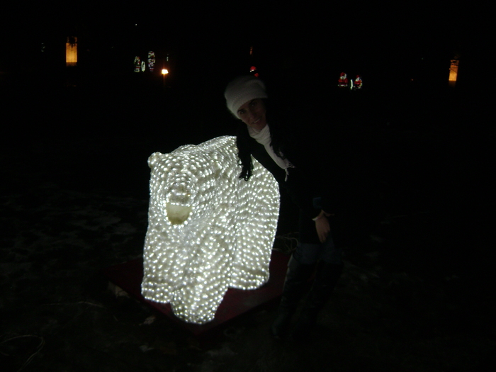 DSC00966; craciun  2010
