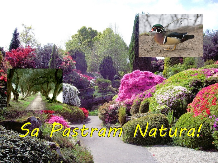 SaPastramNatura - Postere marca sa pastram natura