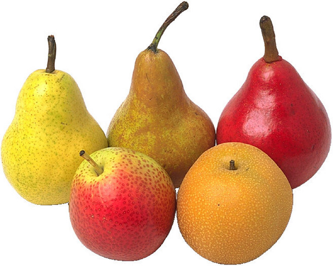assortmentofpears - poze cu fructe