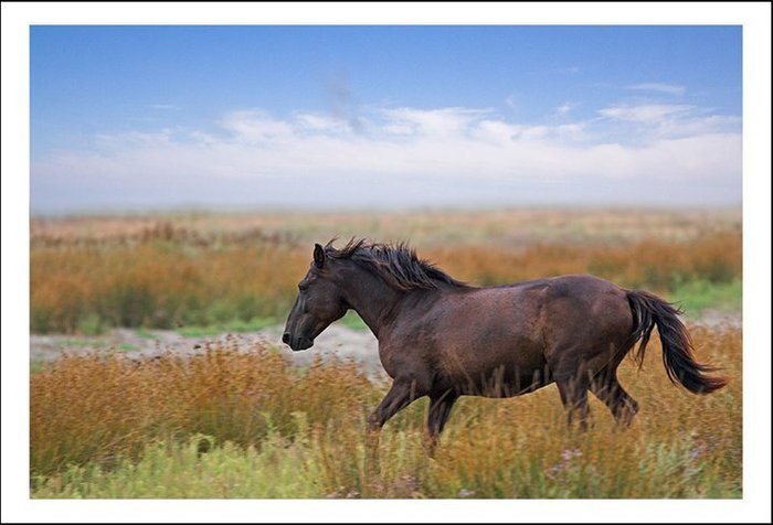 63209_187172771297665_100000148311193_753482_405795_n - Frumuseti ale naturii