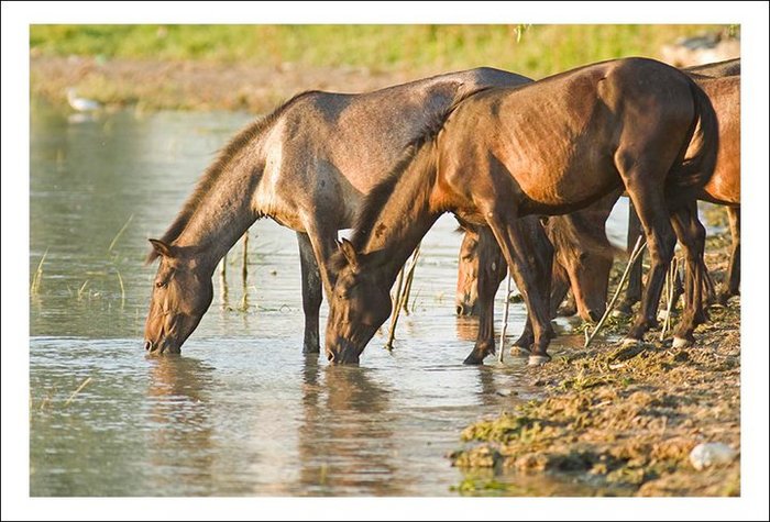 63525_187172354631040_100000148311193_753476_5417149_n - Frumuseti ale naturii