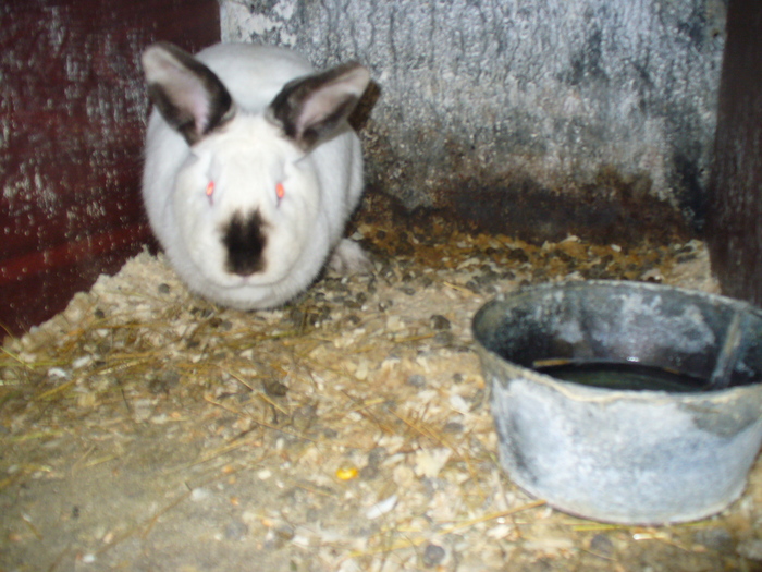 MAMA PUILOR DE 1 LUNA SI 3 SAPTAMANI