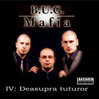 1367601_9d6[1] - BUG mafia