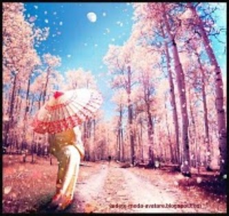 imagini de primavara1[1]