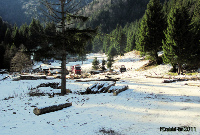 distrugerea - Piatra Craiului 2011