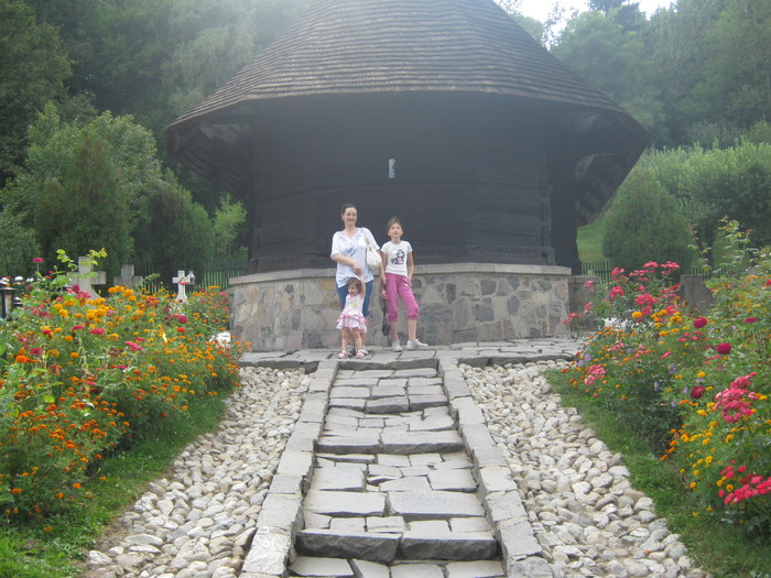 noi la Dintr-un lemn