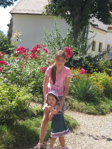 Picture 461 - eu