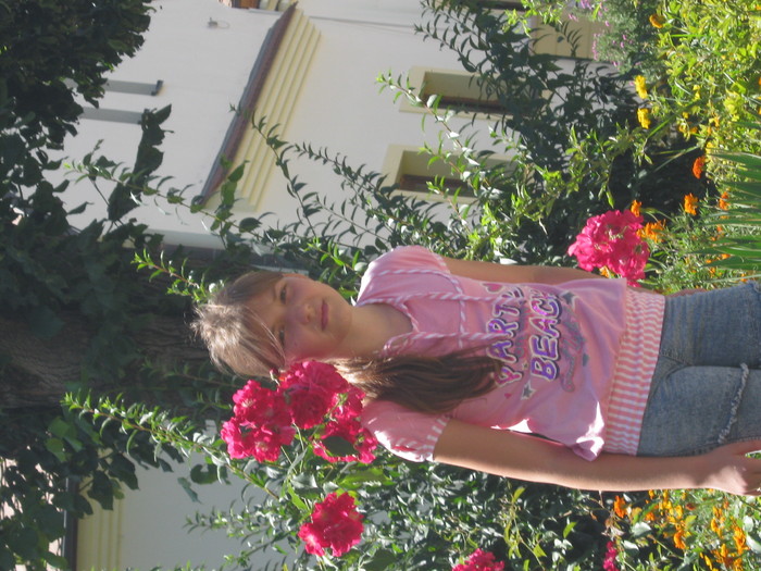 Picture 463 - eu