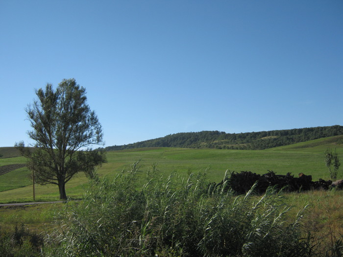 Picture 523 - eu