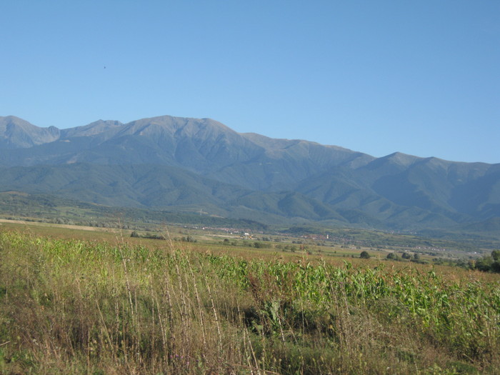 Picture 529 - eu