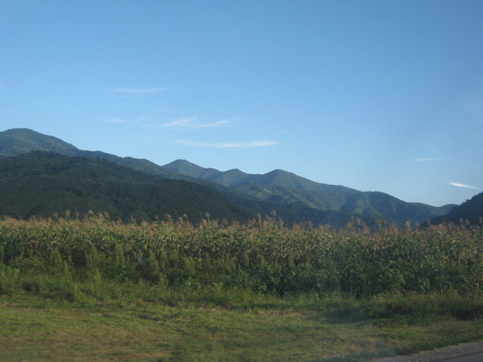 Picture 536 - eu