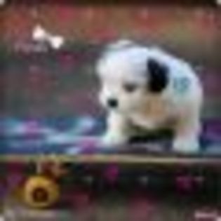 thumb1_4_glitery_pl_lesa_1877