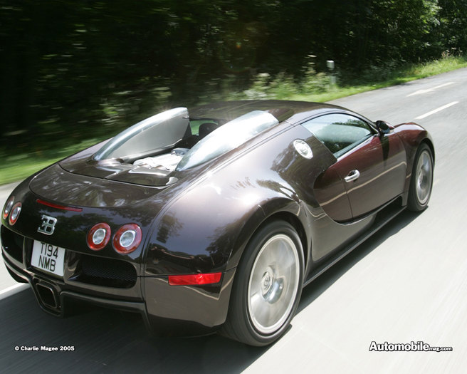 bugatti_veyron_000[1]