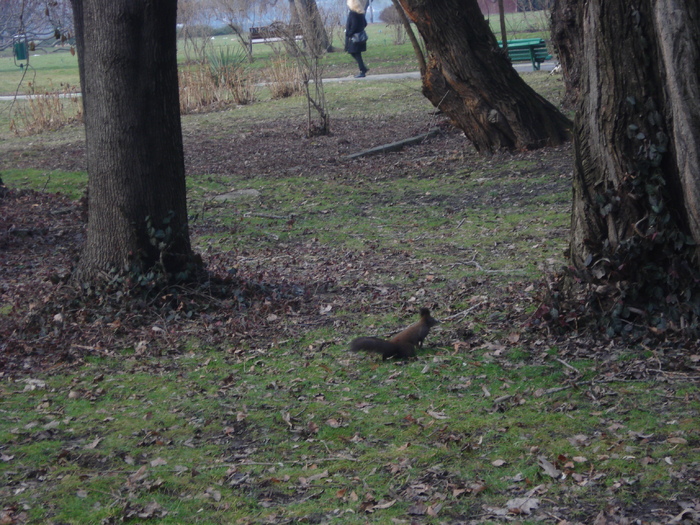 O VEVERITA ZAPACITA:))