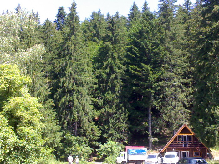 15062009346 - in excursie