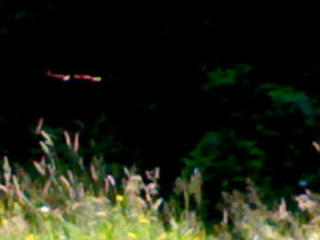 15062009352 - in excursie
