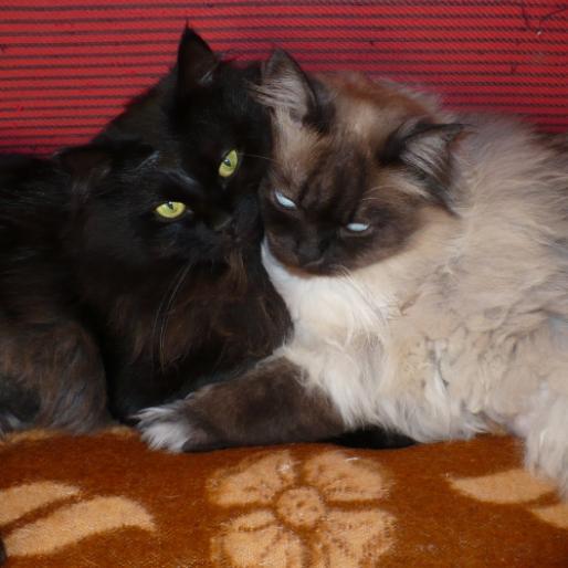 ZQEMRNDVQHXQAPXGXGQ[1]