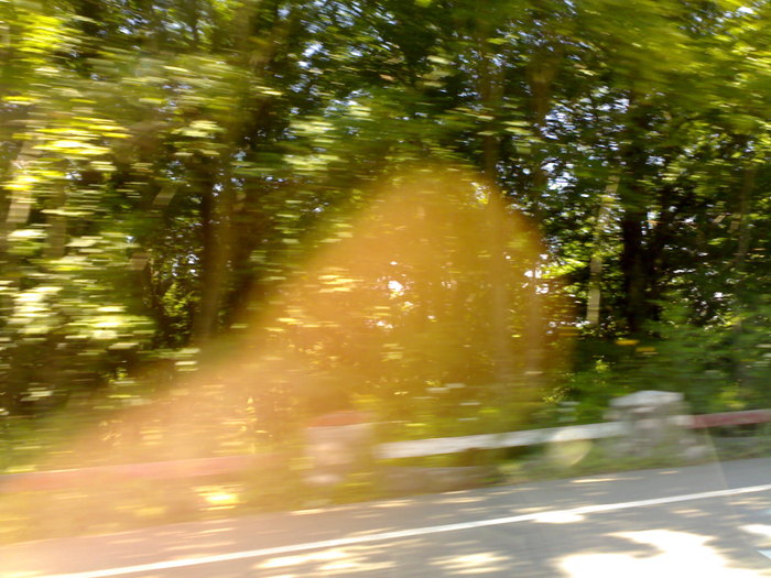 15062009375 - in excursie