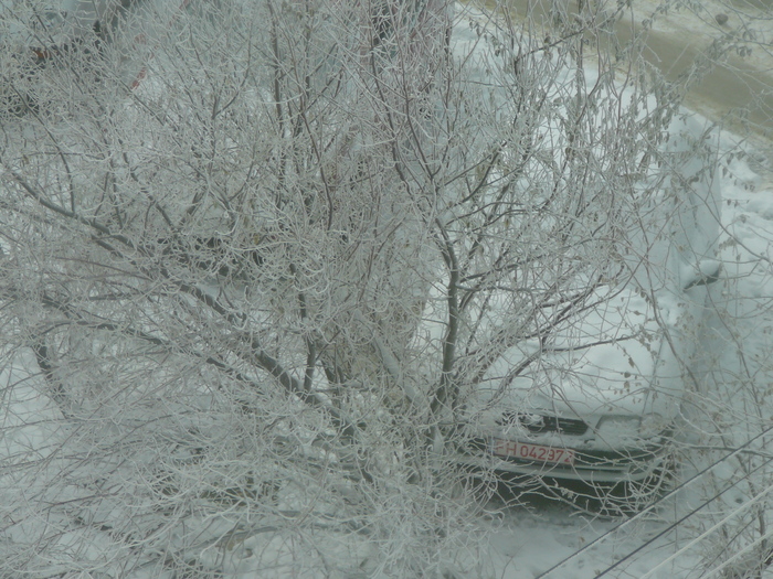 decembrie 2o10 031 - Marea vazuta de la fereastra mea