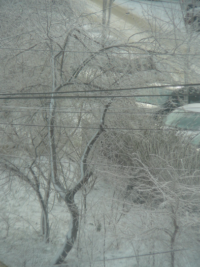 decembrie 2o10 033 - Marea vazuta de la fereastra mea