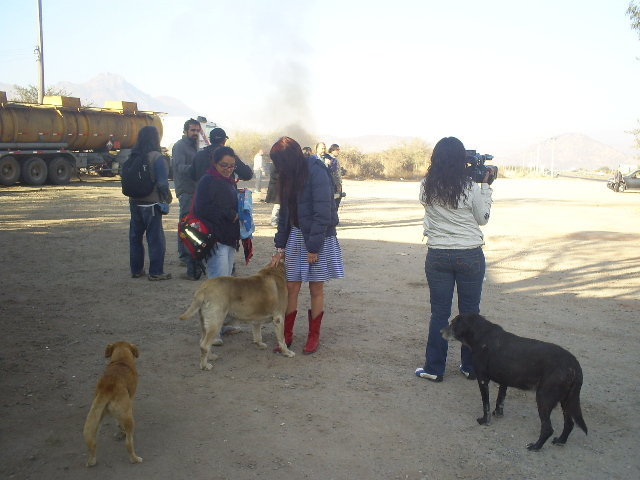 11h8oc1 - Dulce Maria