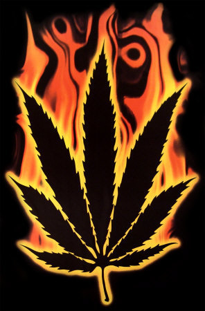 burning-marijuana-leaf - Drogurile si copii