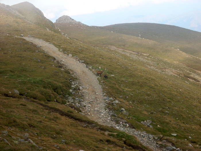 1 (18) - Ture prin Bucegi