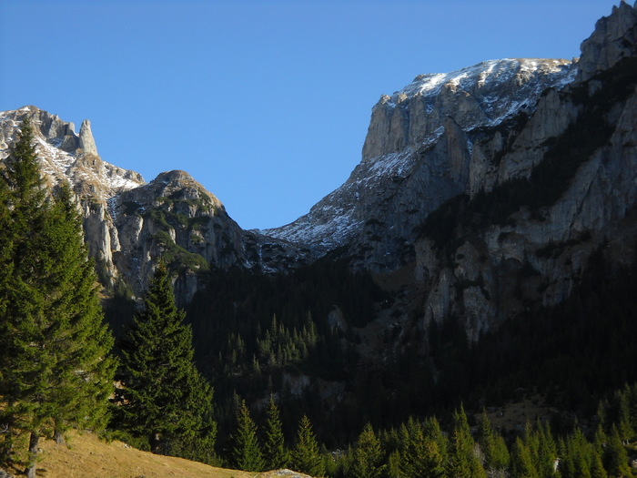 Valea Gaura; bucegi
