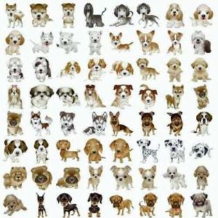 Dogs_Clipart[1] - dogs