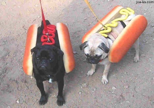 HotDogs[1]