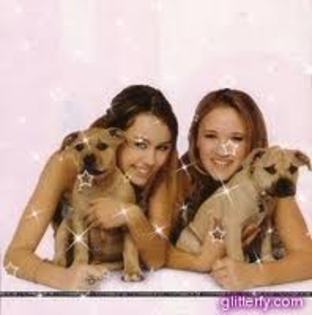 Miley Cyrus,dog,Emili osment and dog