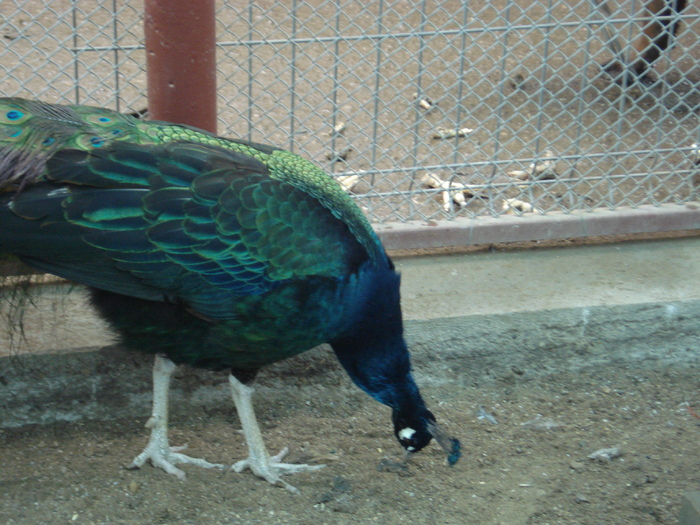 DSC03172