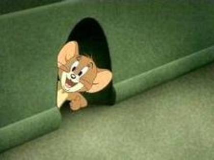 imagesCA4WVPFA - tom si jerry