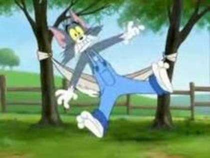 imagesCA5JUO32 - tom si jerry