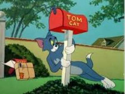 imagesCA8MXNKX - tom si jerry