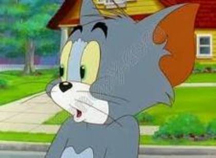 imagesCA24HOKL - tom si jerry