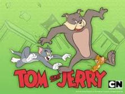 imagesCAABL80Y - tom si jerry