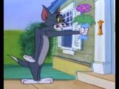 imagesCAFKKM8O - tom si jerry