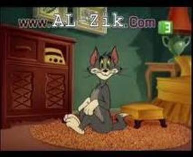 imagesCASGGVR9 - tom si jerry