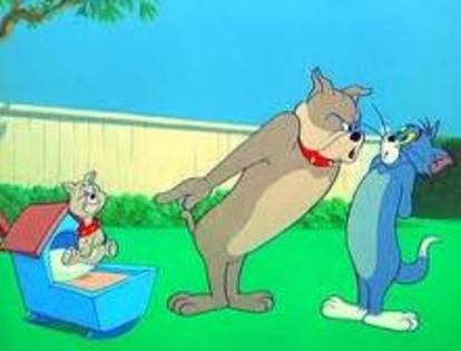 imagesCAVW5GZR - tom si jerry