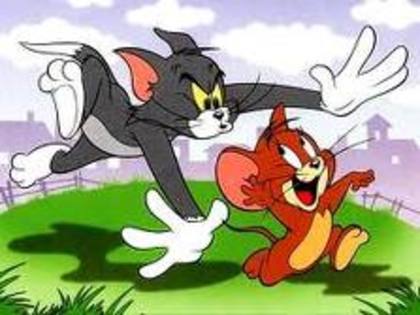 imagesCAYRK84L - tom si jerry