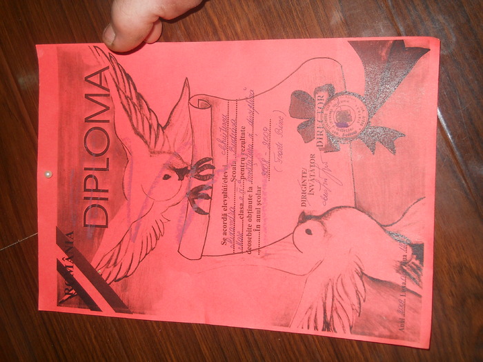 DSCN0459 - porumbei mei voiajori