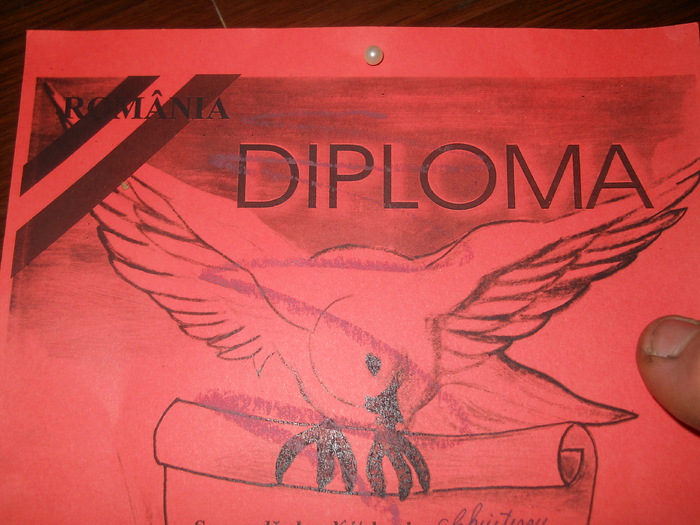 DSCN0460 - porumbei mei voiajori