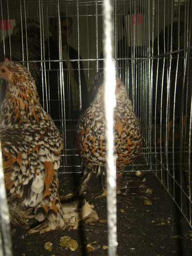 P1150101